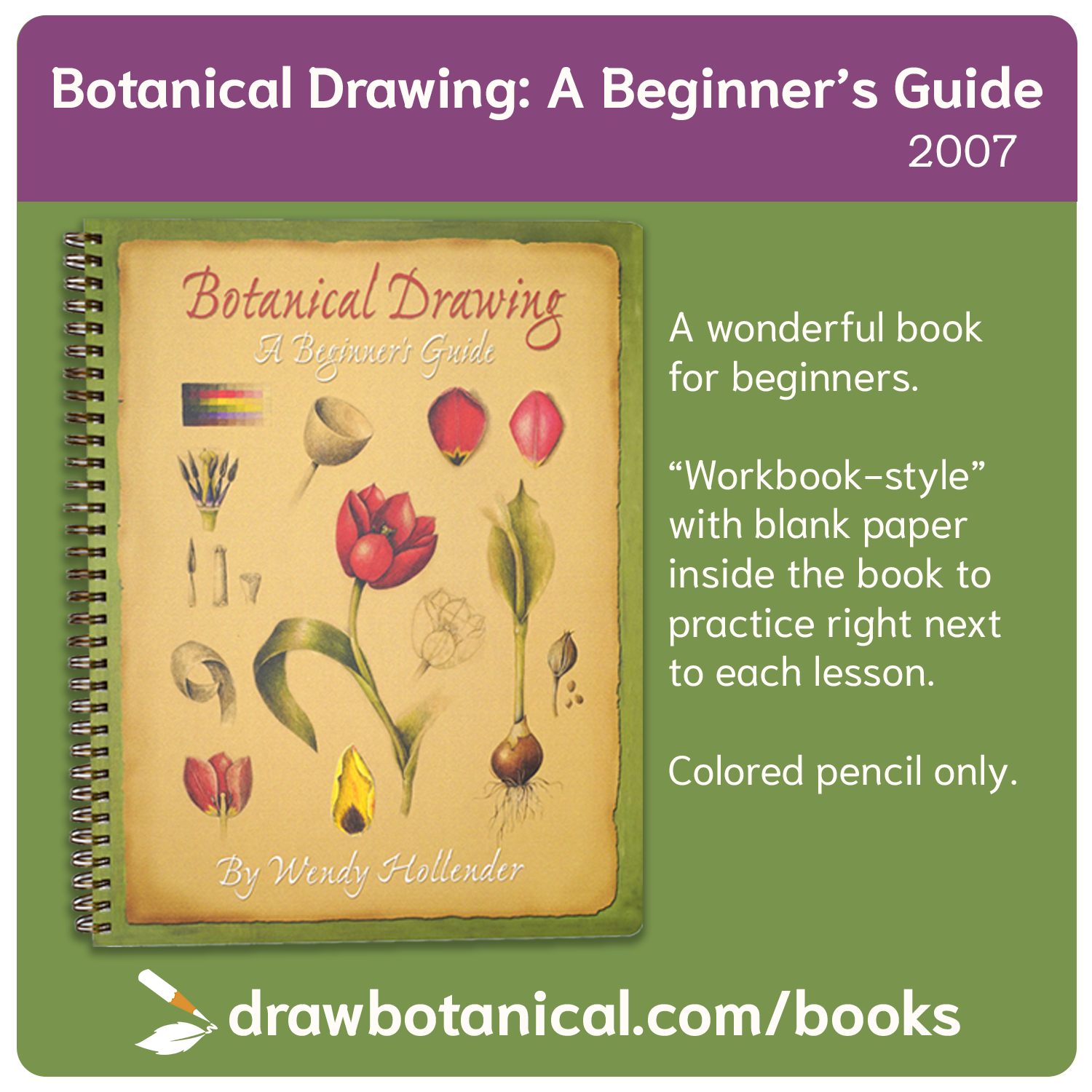 Pencil Drawing: A Beginner's Guide (Paperback)