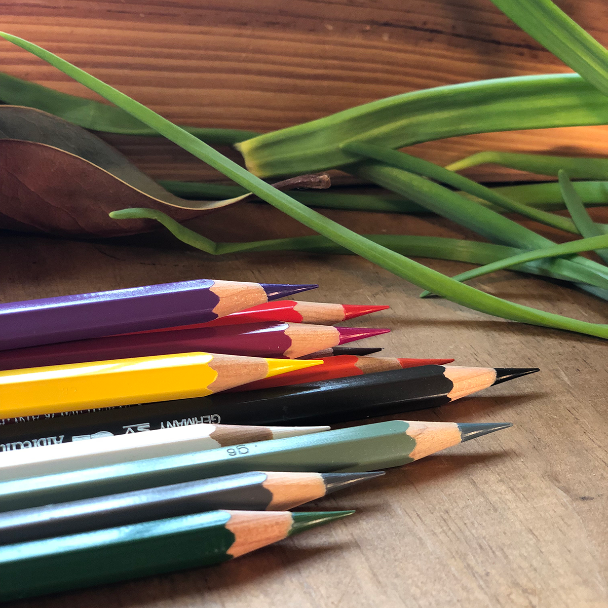 25 Essential Colored Pencils