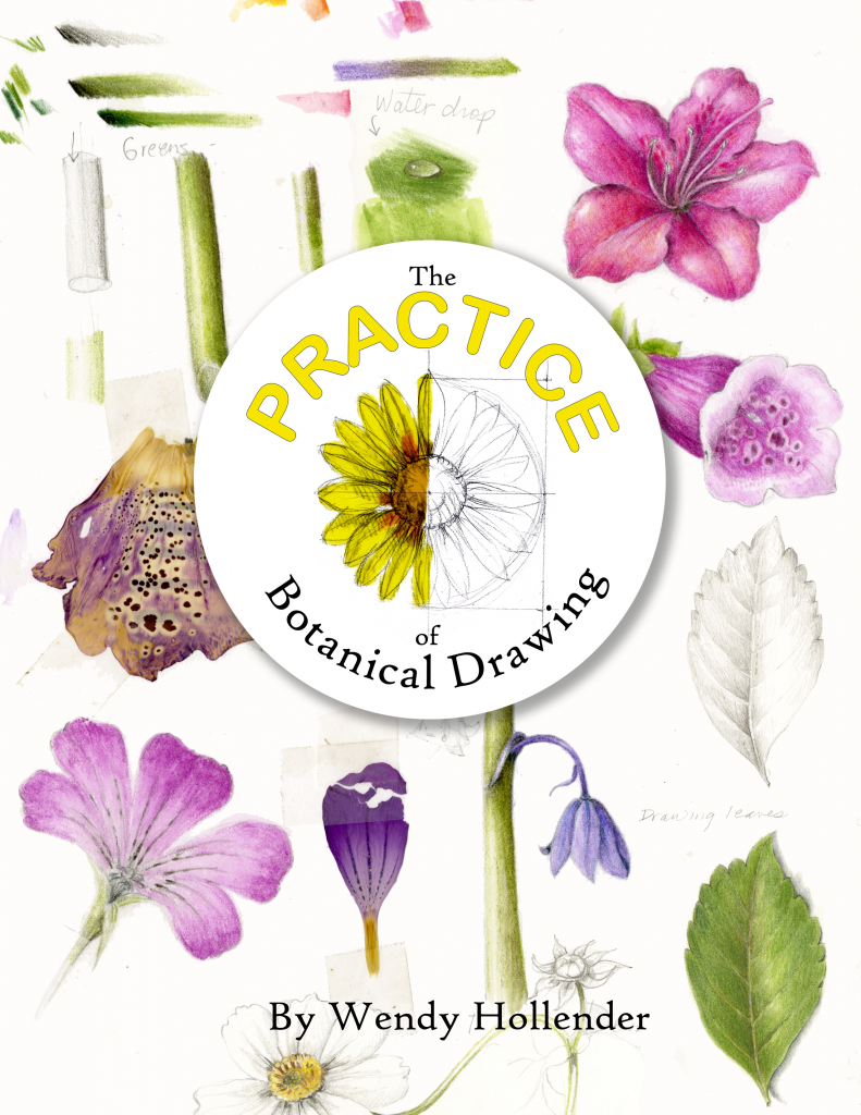 The Practice of Botanical Drawing Printed Lessons Draw Botanical LLC