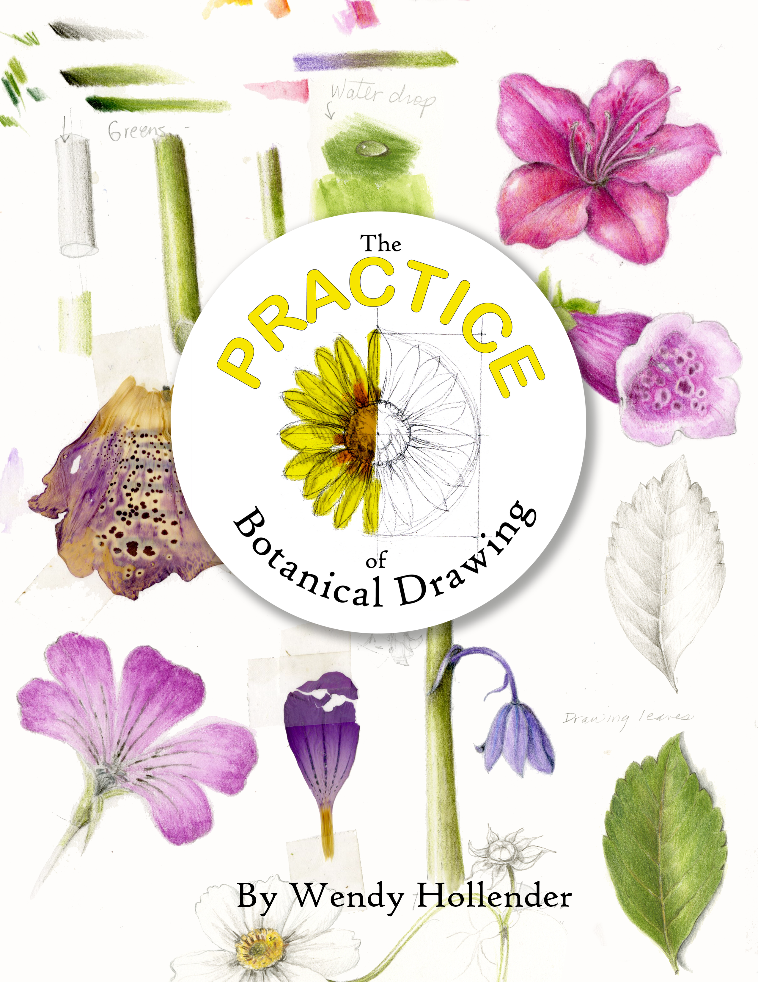The Practice of Botanical Drawing Printed Lessons Draw Botanical LLC