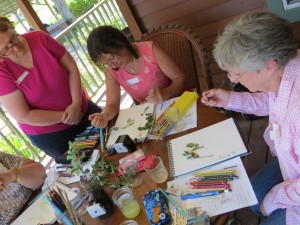 botanical drawing workshop class illustration wendy hollender