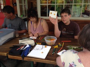 botanical drawing workshop class illustration wendy hollender