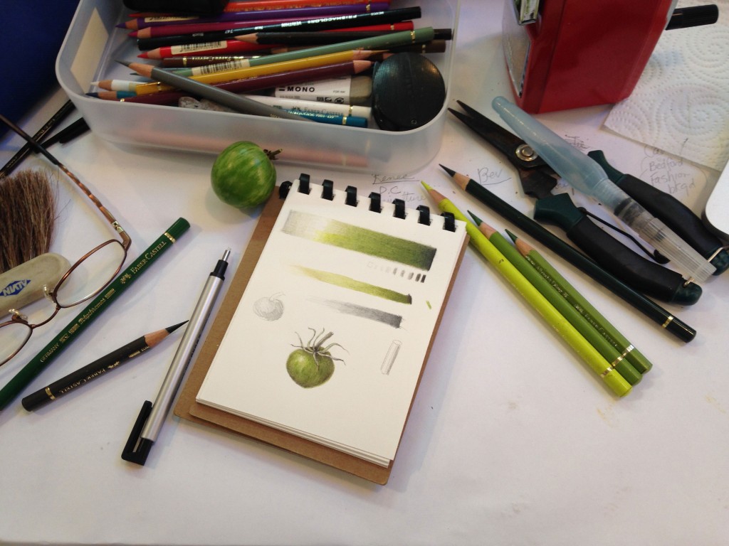 botanical illustration beginners basic classes wendy hollender drawing color art sketchbook