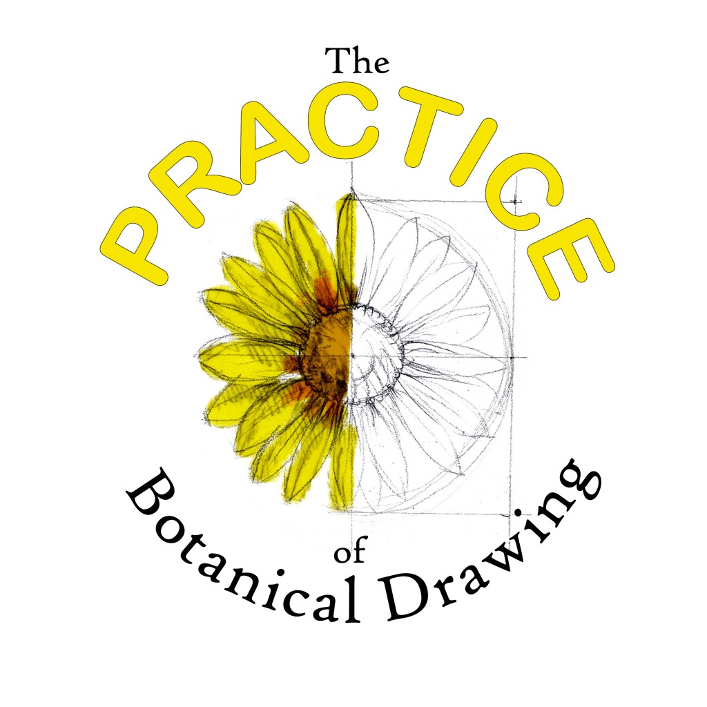 Botanical Illustration Classes Online Drawing Flowers in Color