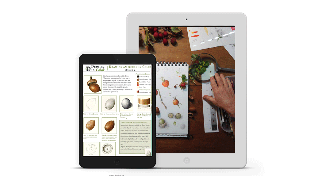 learn to draw online technology botanical illustration phone tablet drawing class