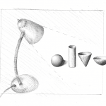 drawing basic light source wendy hollender botanical illustration