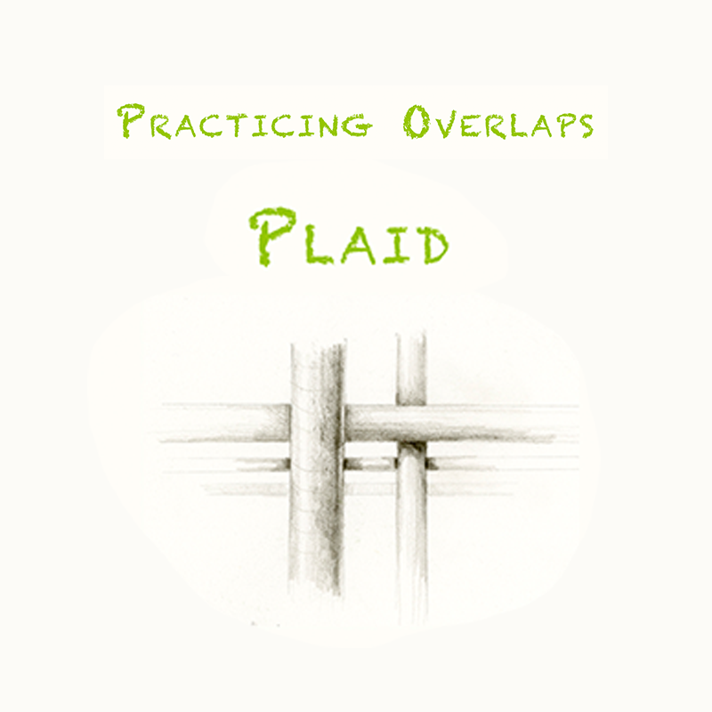 BB Lesson 18: Plaid Draw Botanical LLC