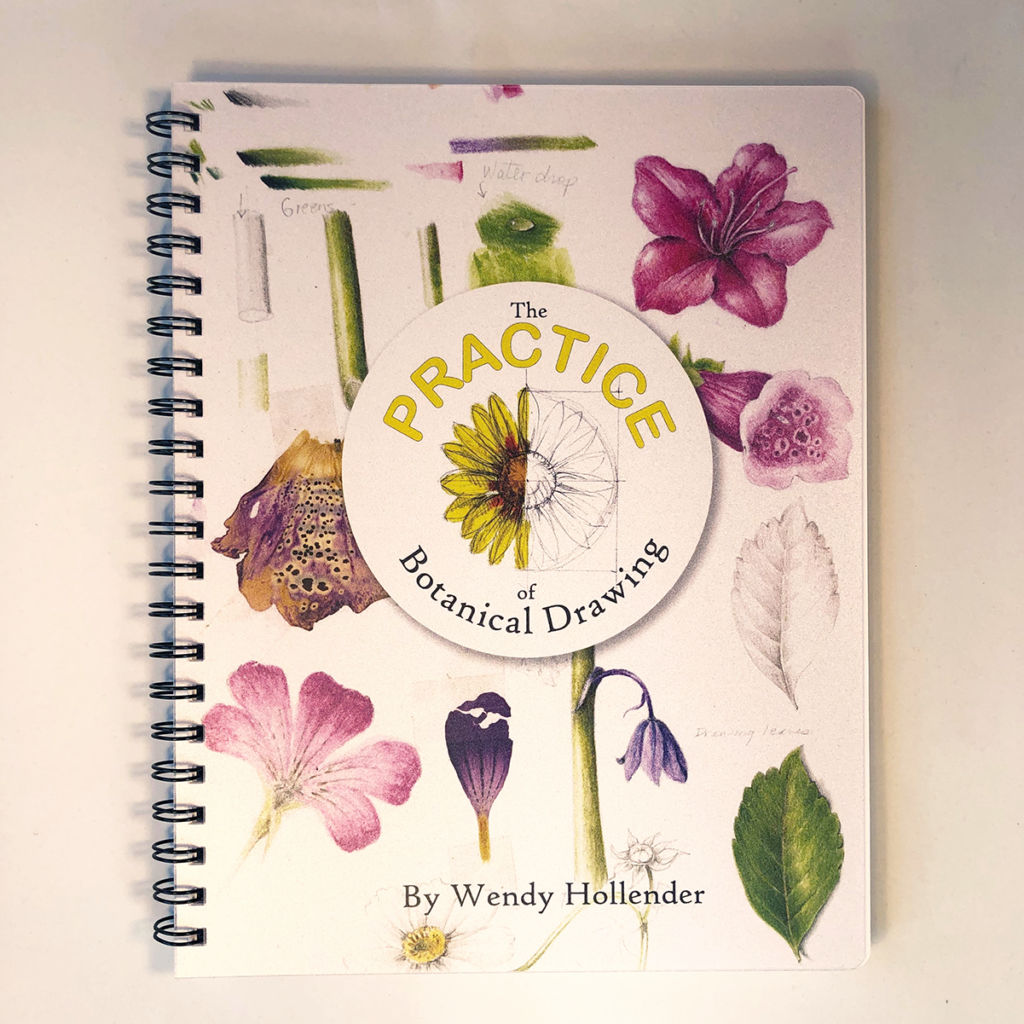 The Practice of Botanical Drawing Printed Lessons Draw Botanical