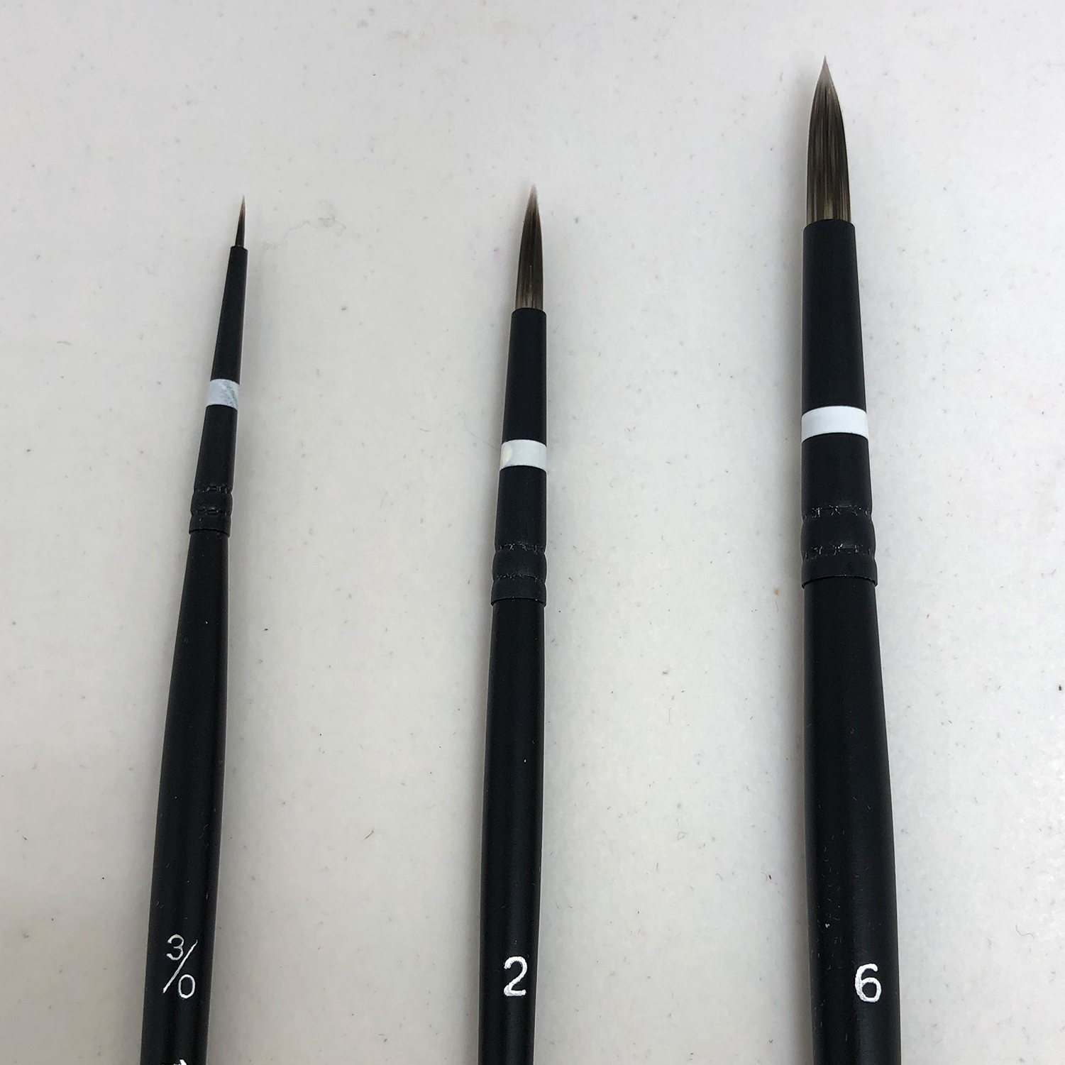 Interlon Watercolor Brushes Draw Botanical