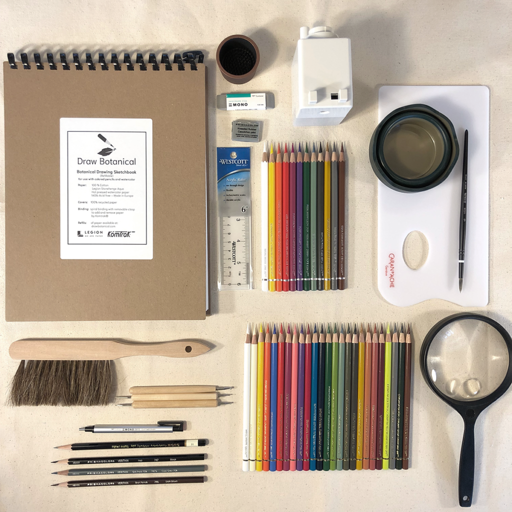 Art Supply Kit Practice of Botanical Drawing Draw Botanical