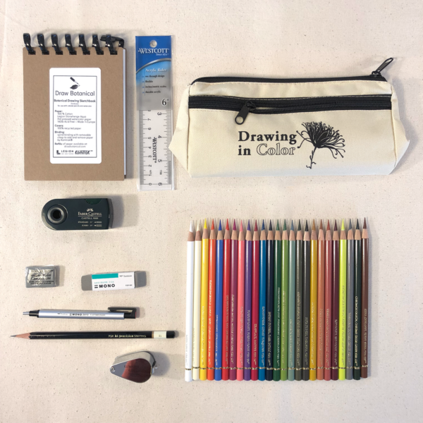 Art Supply Kit Archives Draw Botanical