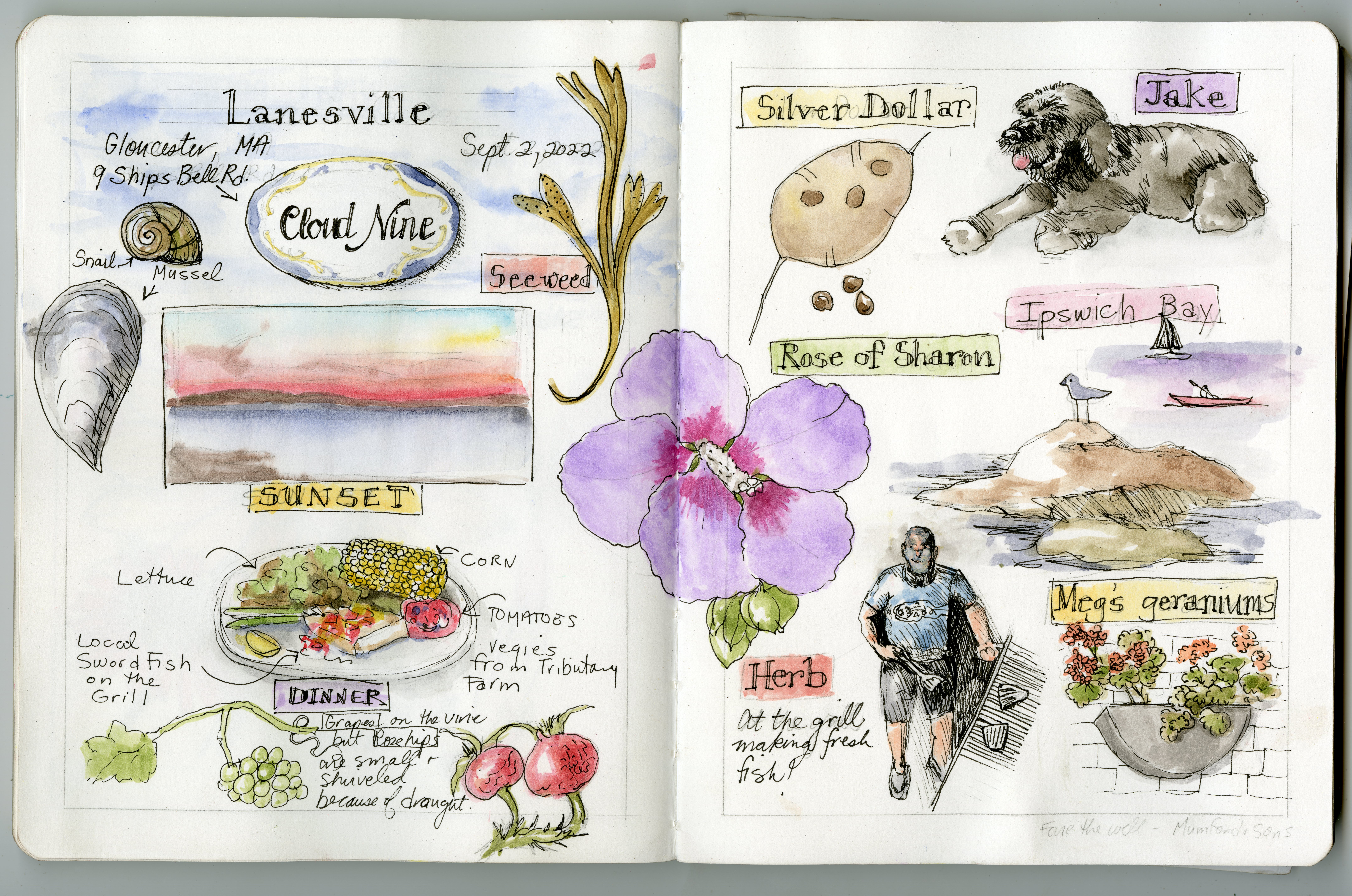 Nature Journaling is Love - Draw Botanical LLC