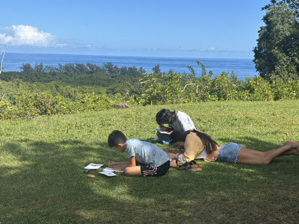 Youth drawing in the grass