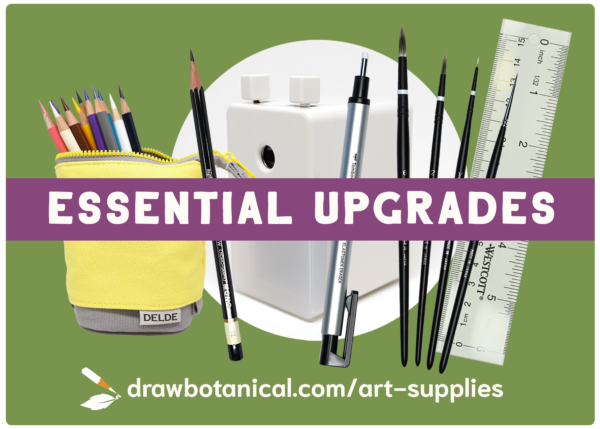 Drawing Supplies I Use for Longer Drawings 