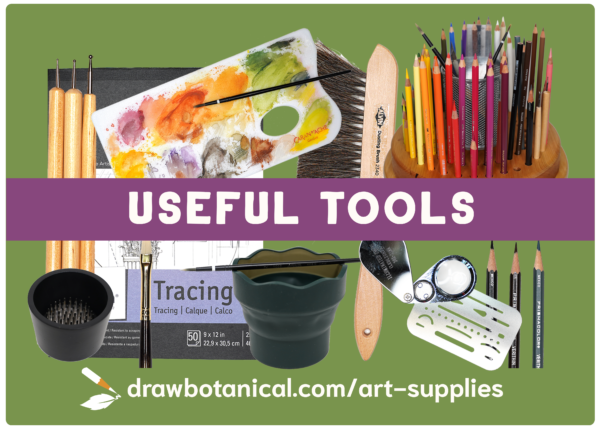 Drawing Supplies, Drawing Materials