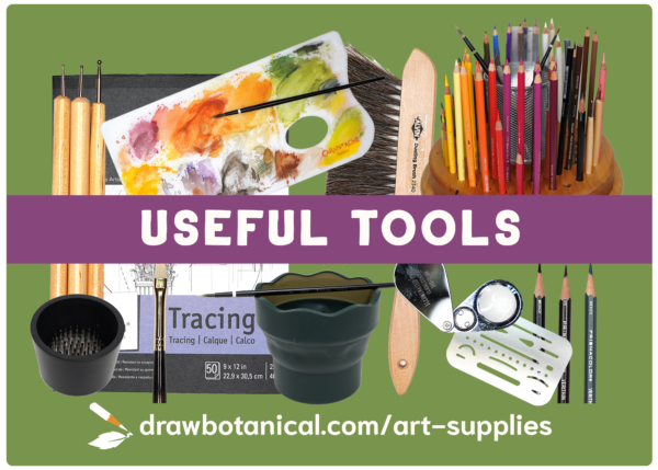 Drawing Supplies & Materials: A List For Beginners Learning How To