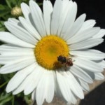 Profile picture of Paula M