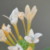 Profile picture of MaryEM