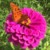 Profile picture of watsonsd2018