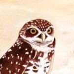 Profile picture of Pearl J M