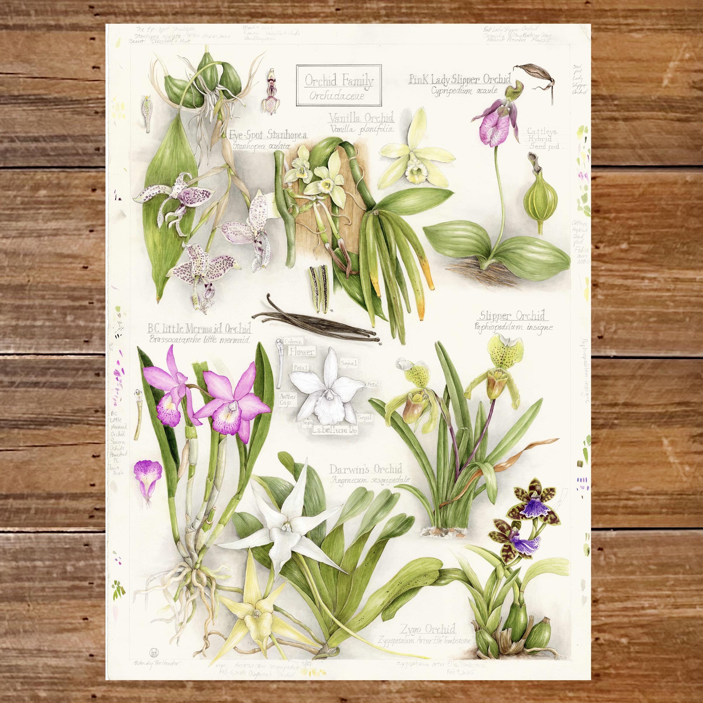 db_product_family_print_orchid_june25_noframe2