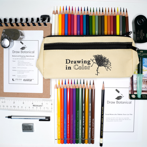 Prismacolor Verithin Pencils - Black and Grey - Draw Botanical LLC