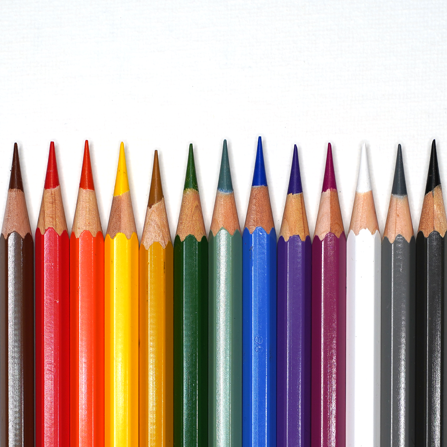 13 Essential Watercolor Pencils