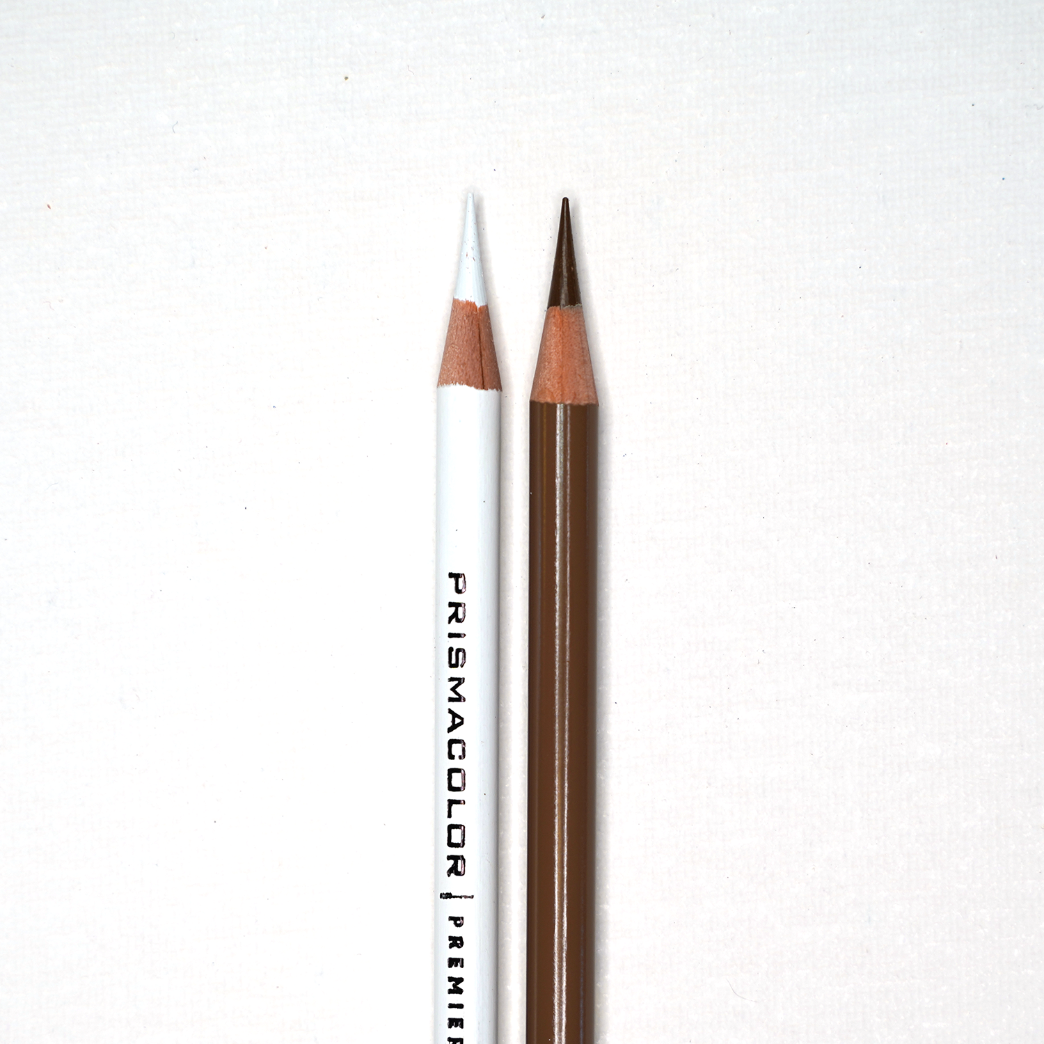 Kraft Paper Pencil Set - Draw Botanical LLC