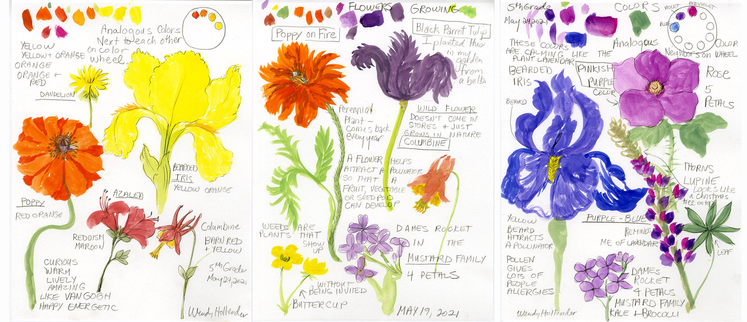 explore_draw_color_lesson_demo_pages_banner