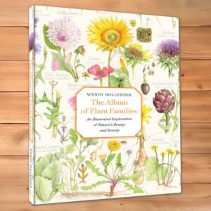 The Album of Plant Families Book