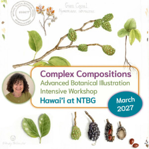 Complex Compositions in Hawaii: Botanical Illustration Intensive Workshop