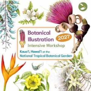 Kauai, Hawaii Botanical Illustration Intensive Workshop Feb 2027