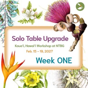 Hawai’i 2027 Solo Table Upgrade Week ONE