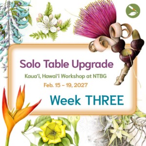 Hawai’i 2027 Solo Table Upgrade Week THREE