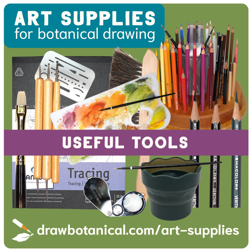 sketching art supplies bundle