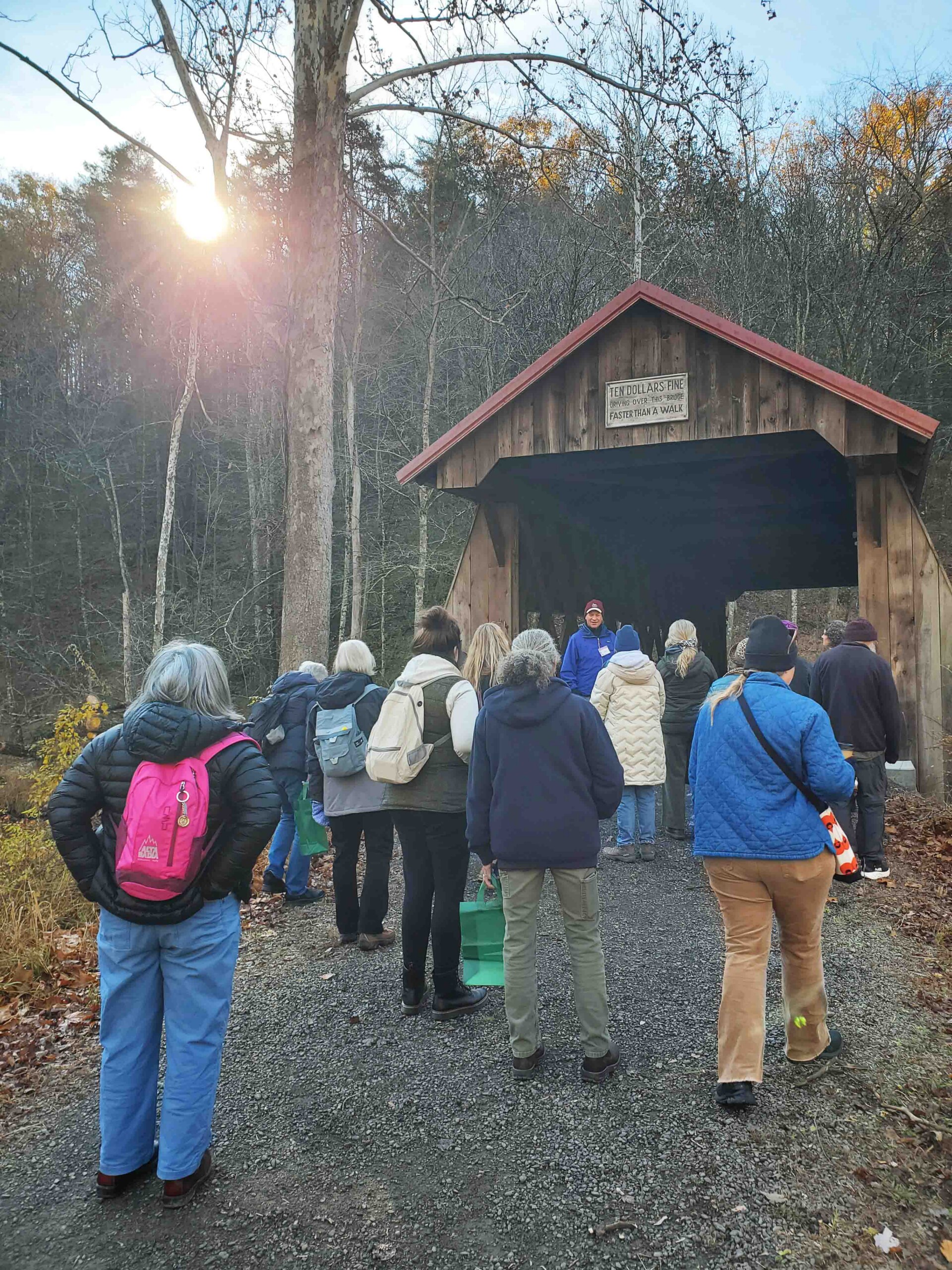 BLOOM 2026 at The Ashokan Center - Image 10