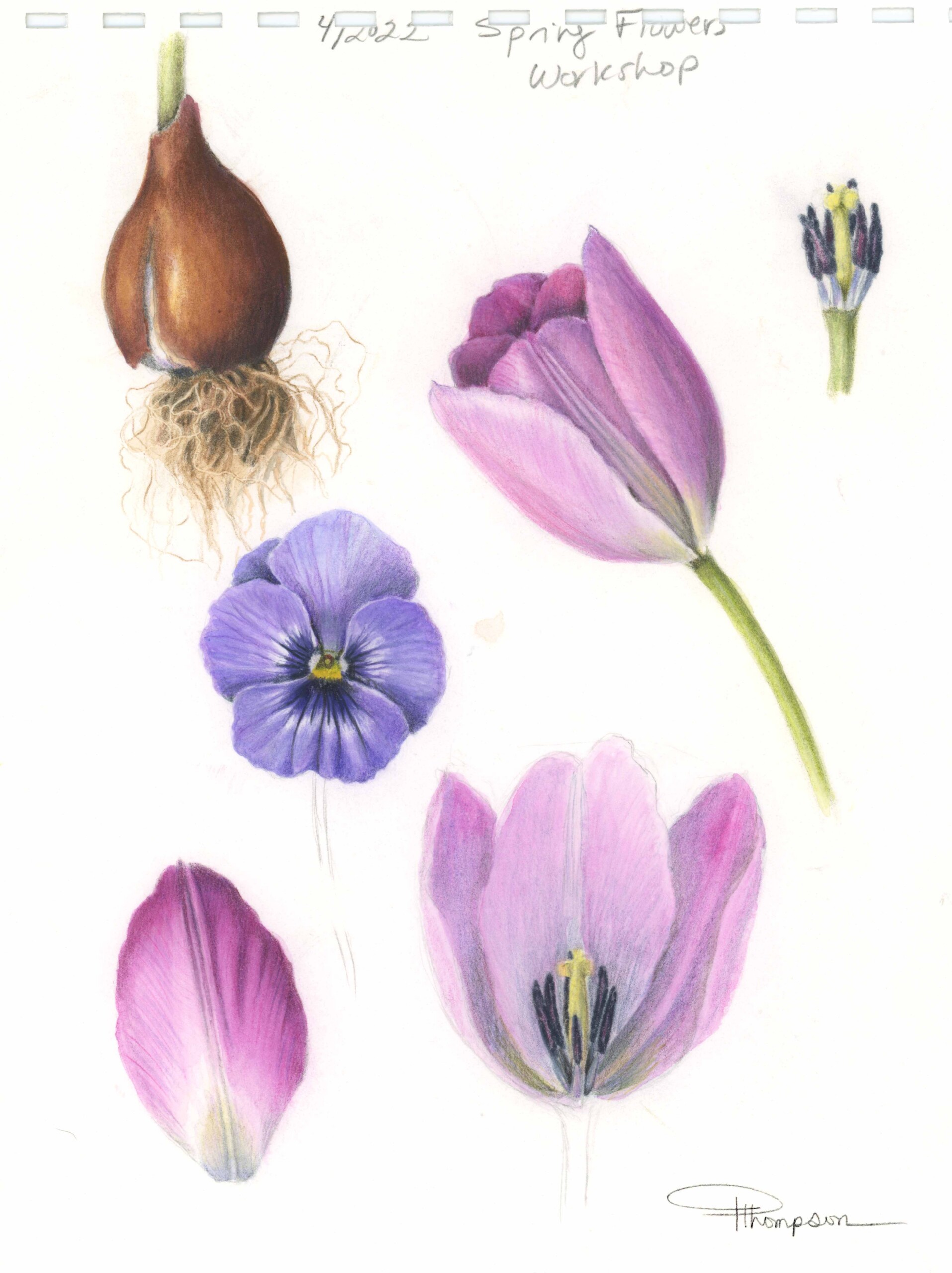 Zoom Workshop 135: Pansies - Image 3