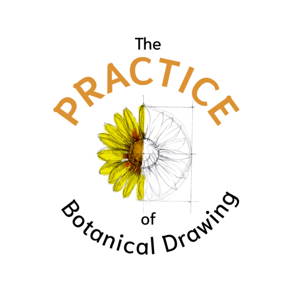 Bare Necessities for Botanical Drawing - Draw Botanical LLC