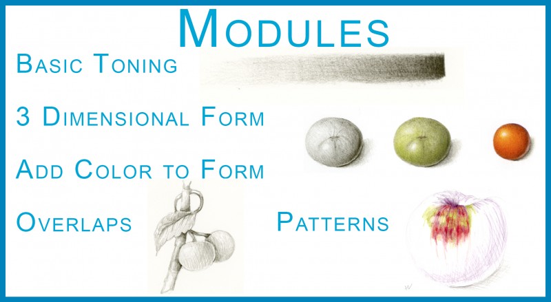 modulesblue-2