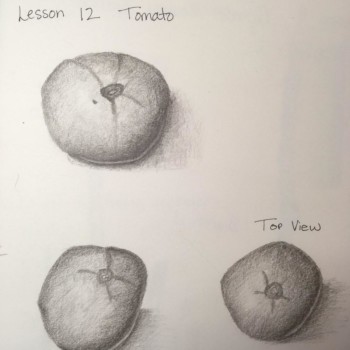 all-tomatoes