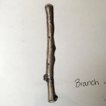 colored-brank1
