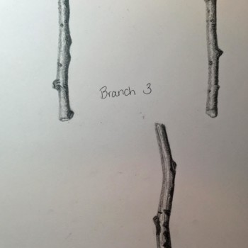 lessoon-9-branches