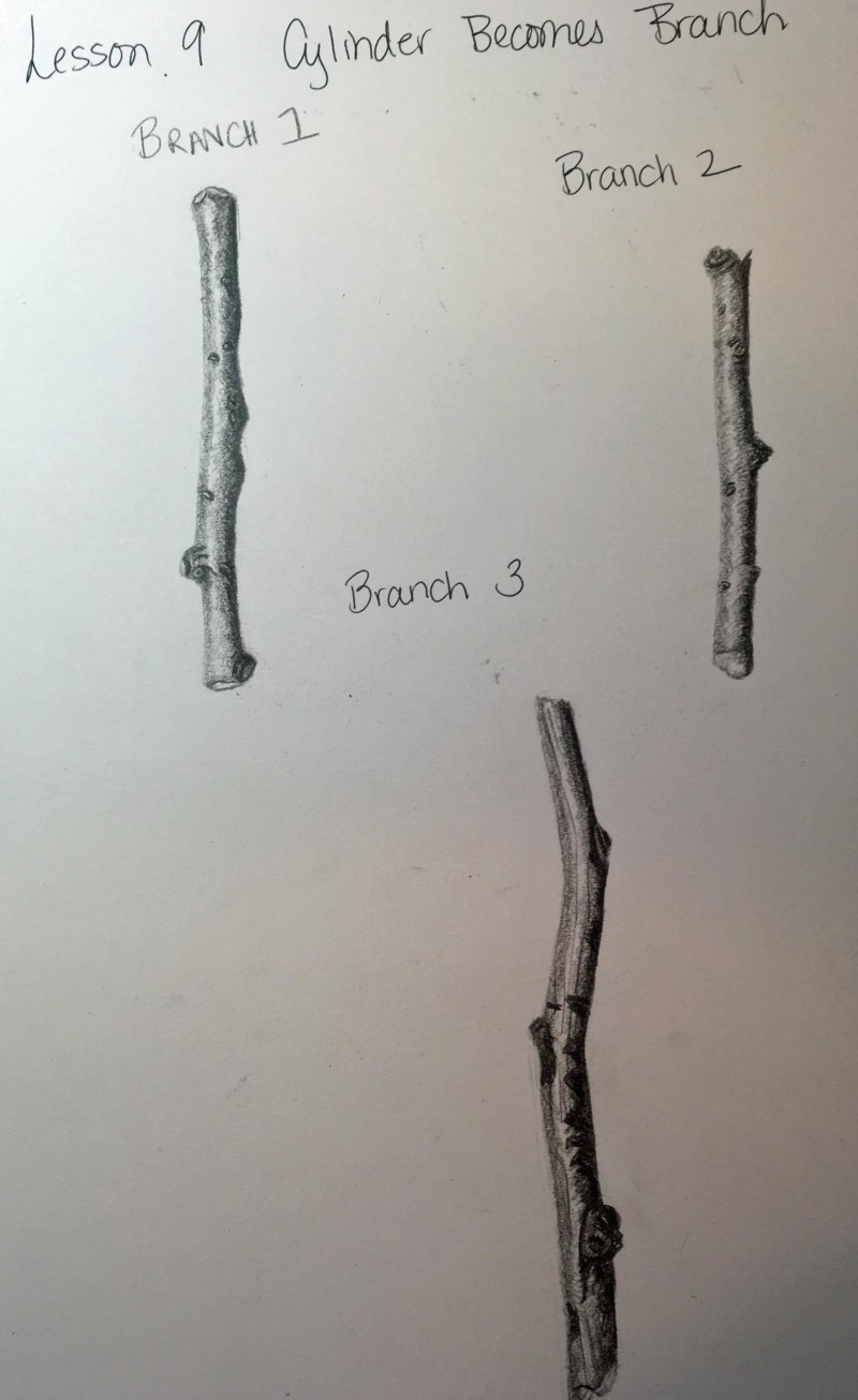 lessoon-9-branches
