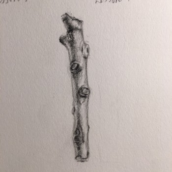 lesson-9-cylinder-to-branch