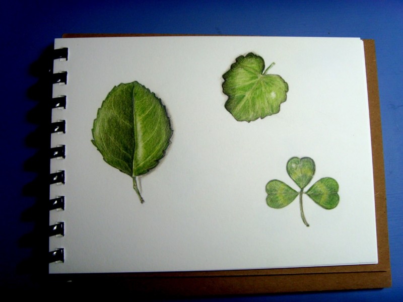 leaves-botanical