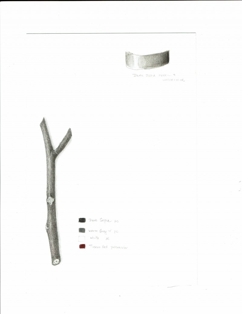 branchsketch2