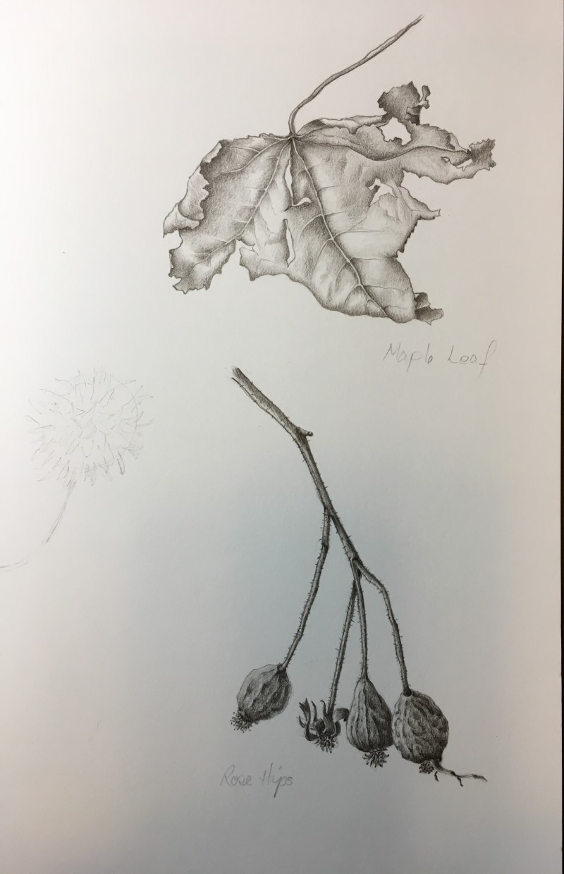 sepia-leaf