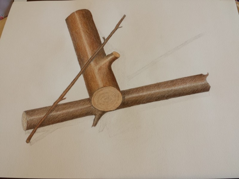 botanical-illustration-lesson-1