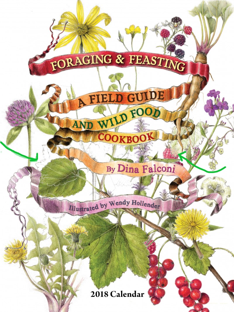 foraging-fc-17-2018_v2