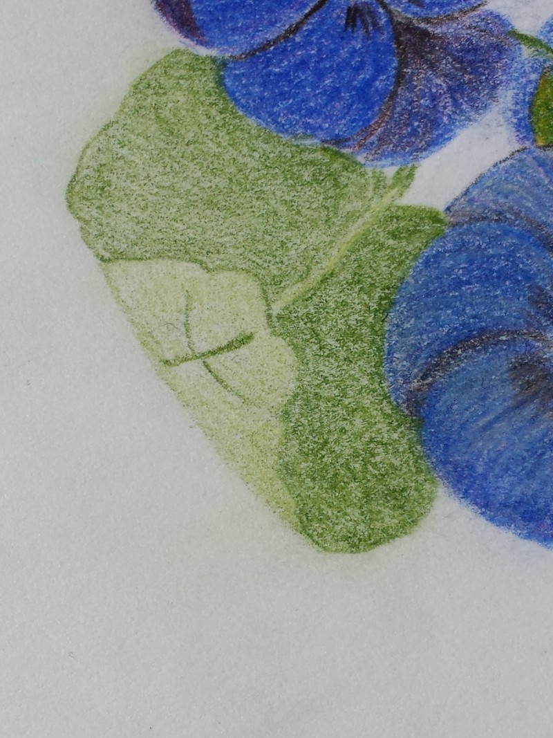 leaf-1